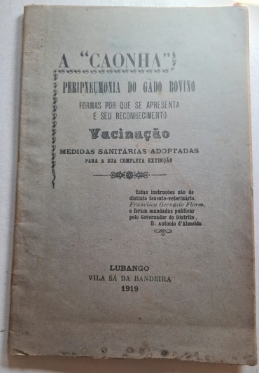 A “ CAONHA” LUBANGO VILA SÁ DA BANDEIRA 1919