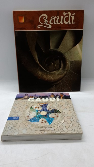 «Gaudi-2 volumes»