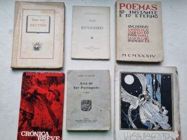 POESIA E LITERATURA