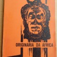 A raça negra não é originária da África / Augusto Castro Júnior.