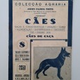 CÃES DE CAÇA