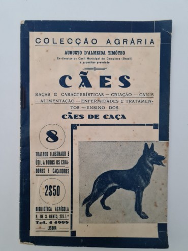 CÃES DE CAÇA