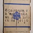 A PAISAGEM E A MELANCOLIA NO DRAMA LIRICO DE FEIJÓ