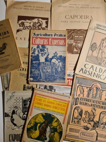 PUBLICAÇÕES SOBRE AGRÍCULTURA E PECUÁRIA
